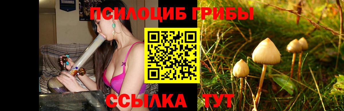 Егорьевск  Галлюциногенные грибы MAGIC MUSHROOMS  что такое наркотик  Вход с VPN  Галлюциногенные грибы MAGIC MUSHROOMS 